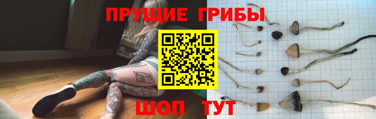 магазин продажи   Вход с VPN  Тольятти  Галлюциногенные грибы ЛСД 