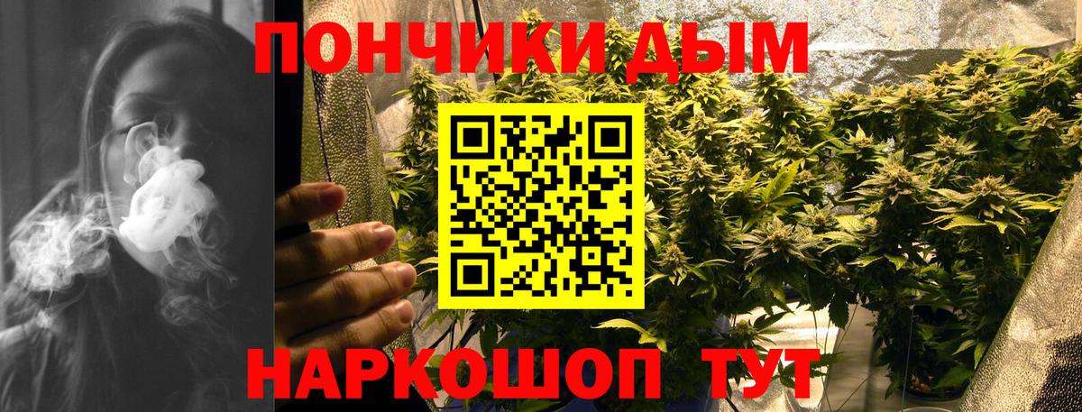 Шишки марихуана марихуана Тольятти